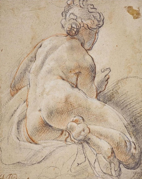 Disegno contornato