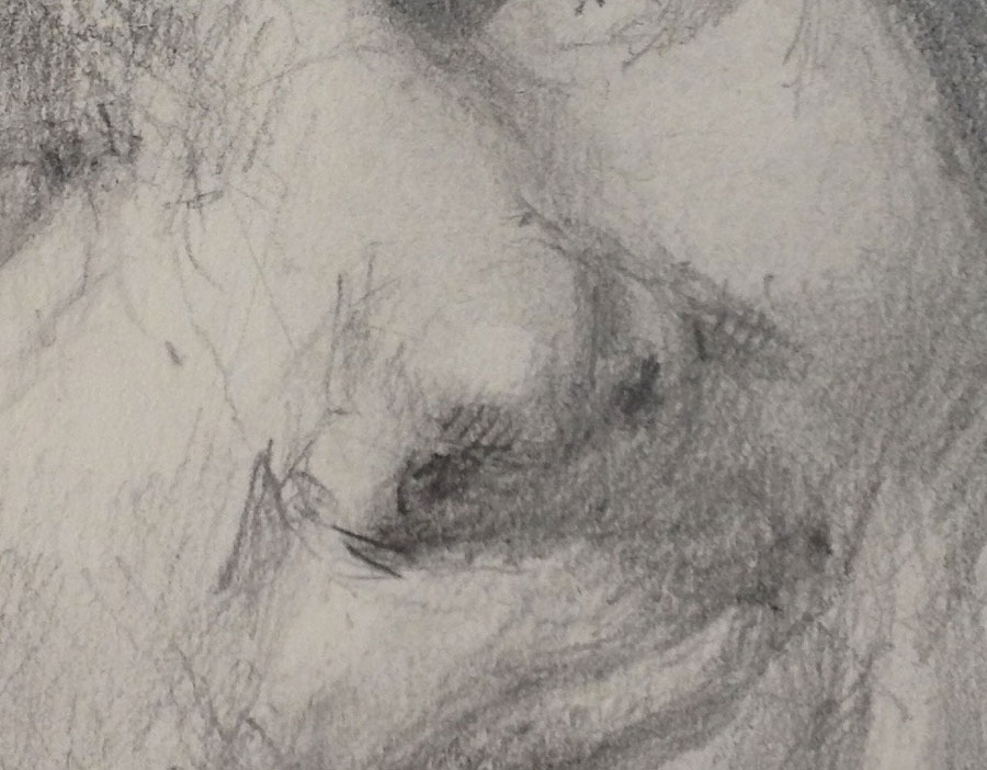 Corso di disegno a matita