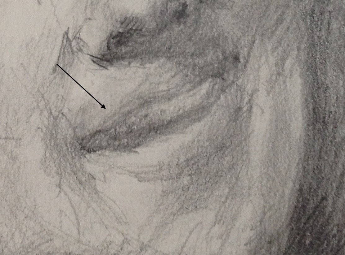 disegnare a matita un volto
