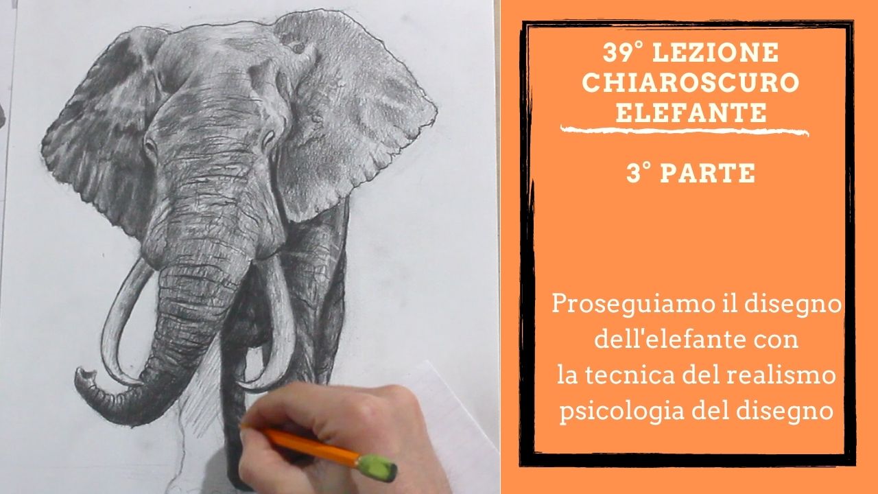 disegna-edipingi-corso-di-disegno-e-pittura-alfredo-papa
