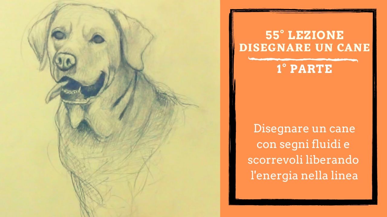 disegna-edipingi-corso-di-disegno-e-pittura-alfredo-papa