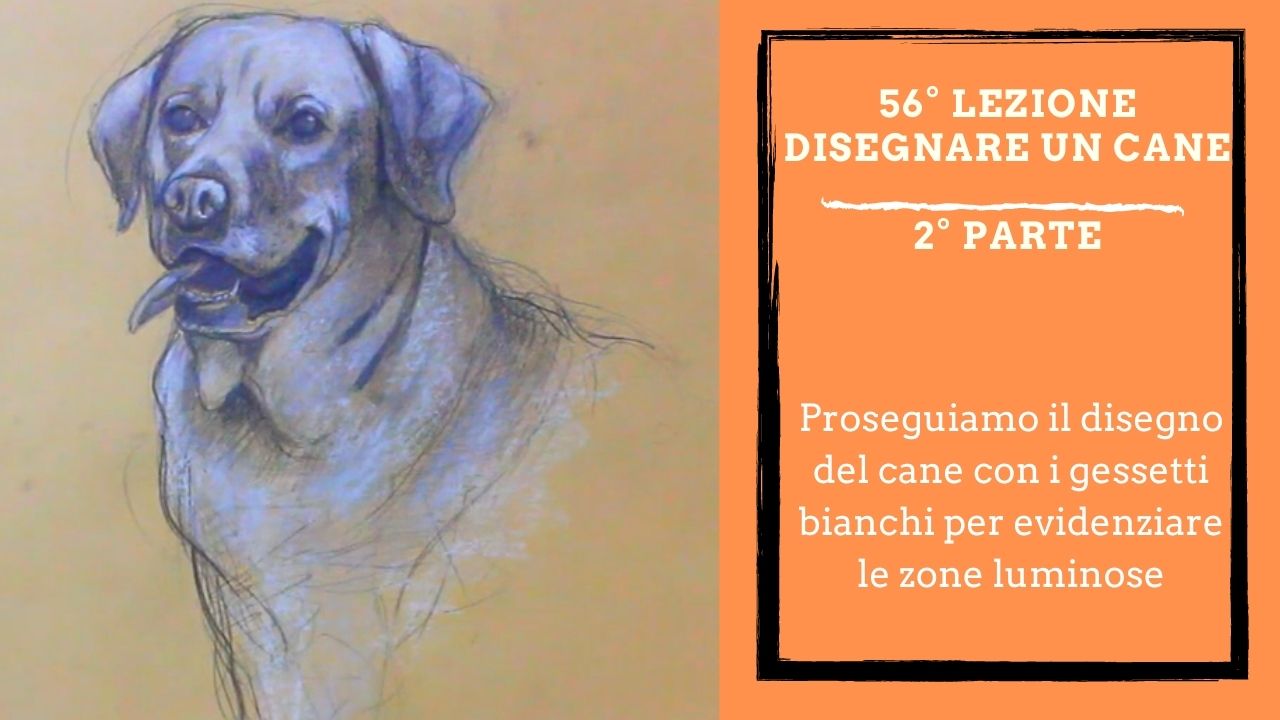 disegna-edipingi-corso-di-disegno-e-pittura-alfredo-papa